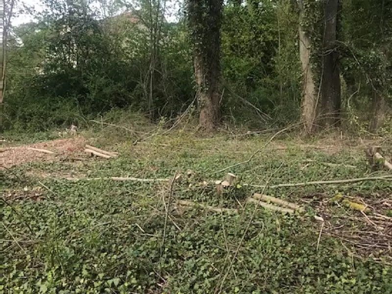 Terrain à bâtir, 606 m² - Naintré (86530)