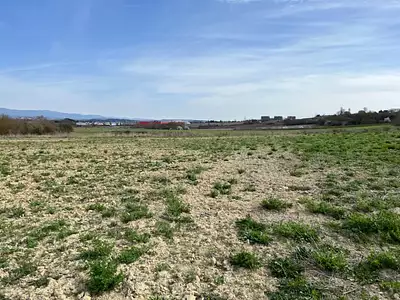 Maison neuve, 90 m²