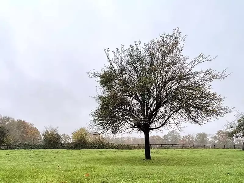 Terrain à bâtir, 1 495 m² - Le Theil-en-Auge (14130)