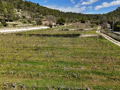 Maison neuve, 90 m²