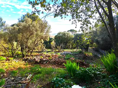 Maison neuve, 90 m²