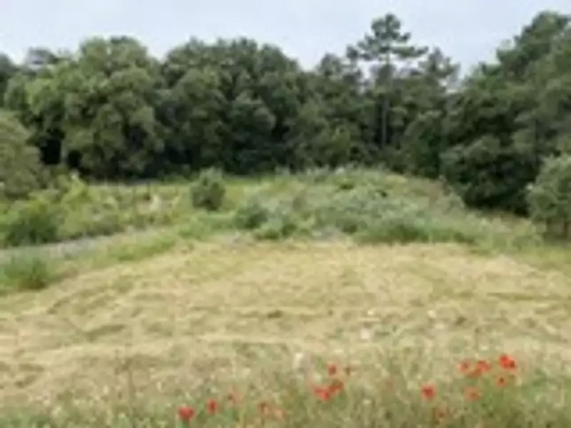 Terrain à bâtir, 473 m² - La Roche-sur-Yon (85000)