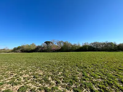 Terrain à bâtir, 733 m²