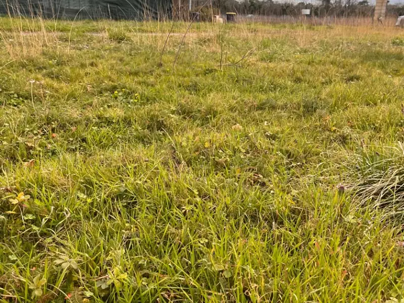 Terrain à bâtir, 331 m² - La Sauve (33670)