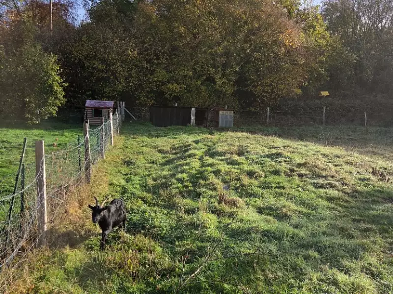 Terrain à bâtir, 1 200 m² - Brionne (27800)
