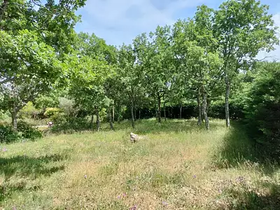 Terrain à bâtir, 1 183 m²