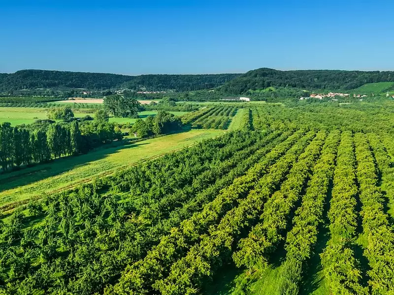 Terrain à bâtir, 487 m² - La Roche-sur-Yon (85000)