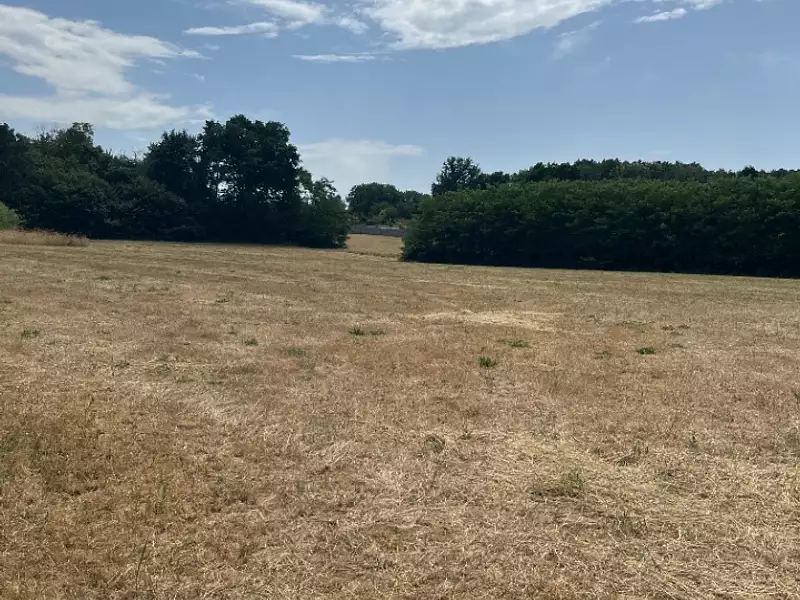 Maison neuve, 115 m² - La Milesse (72650)
