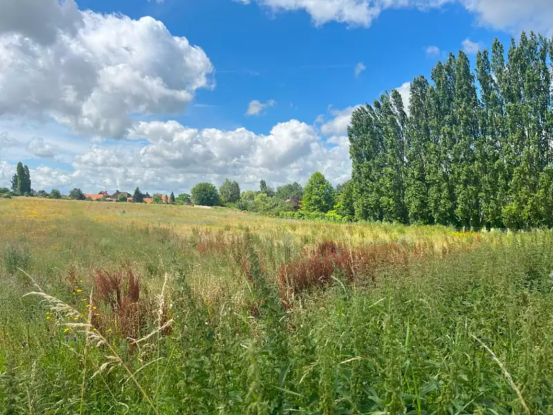 Maison neuve, 100 m² - Achicourt (62217)
