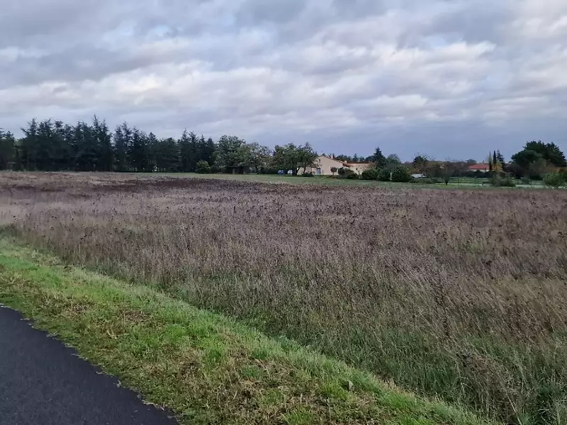 Terrain à bâtir, 677 m² - Naintré (86530)