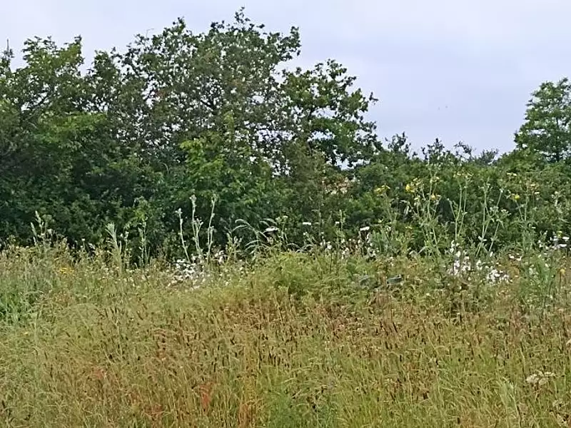 Terrain à bâtir, 423 m² - Saint-Denis-la-Chevasse (85170)