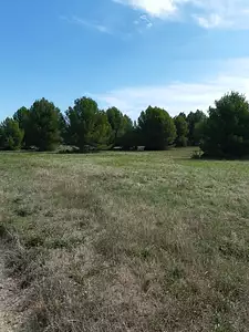 Maison neuve, 65 m²