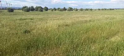 Terrain à bâtir, 494 m²