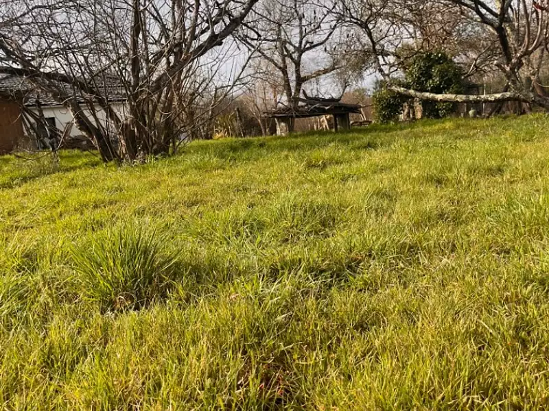 Terrain à bâtir, 1 500 m² - Latresne (33360)
