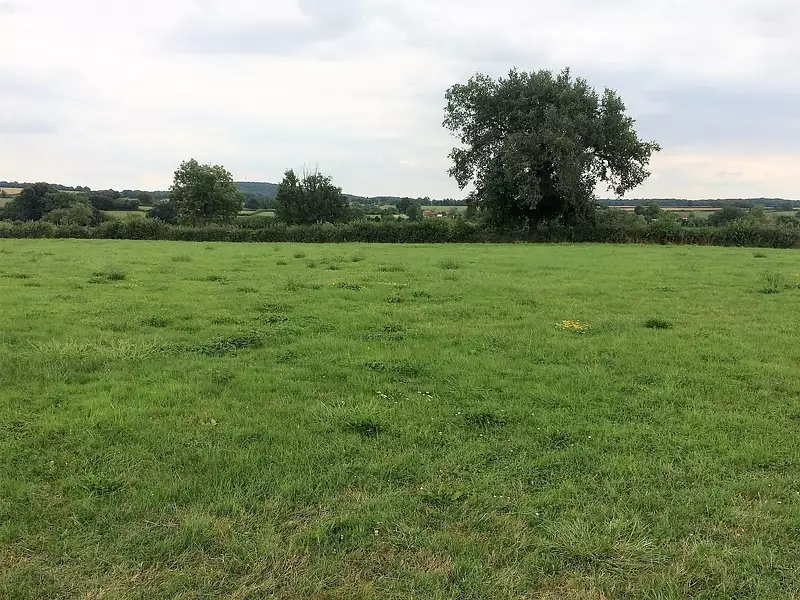 Terrain à bâtir, 804 m² - Chalmoux (71140)
