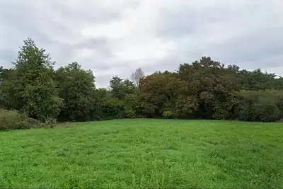 Terrain à bâtir, 490 m²