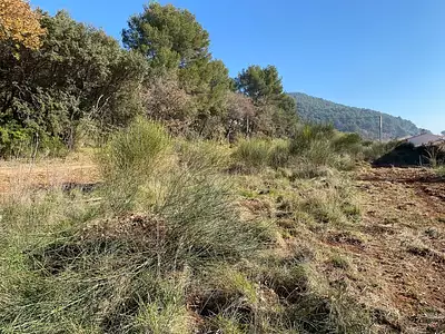 Terrain à bâtir, 650 m²