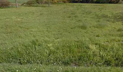 Maison neuve, 98 m²