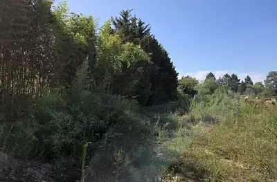 Terrain à bâtir, 1 021 m²