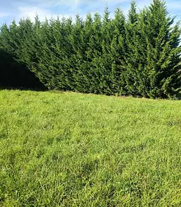 Maison neuve, 110 m²