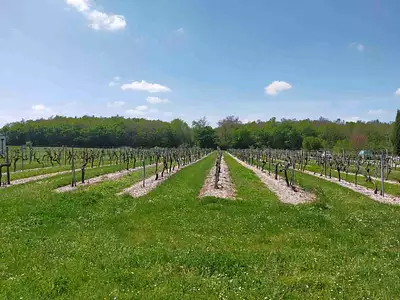 Maison neuve, 138 m²