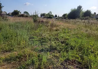 Terrain à bâtir, 832 m²