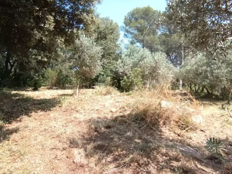 Terrain à bâtir, 1 000 m² - Pélissanne (13330)