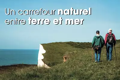 Les Terrasses du Quai