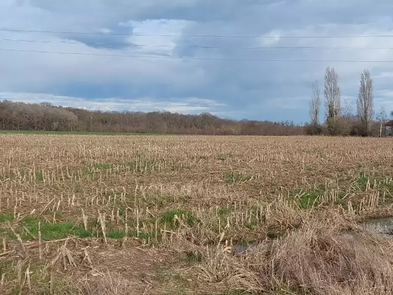 Terrain à bâtir, 597 m² - Viré (71260)