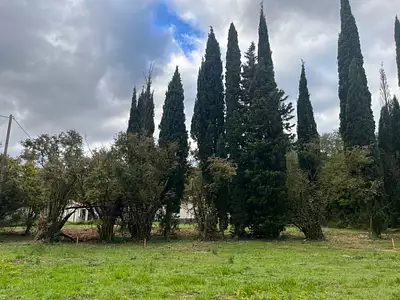 Terrain à bâtir, 716 m²