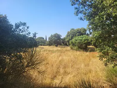 Maison neuve, 98 m²