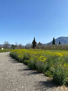 Terrain à bâtir, 766 m²