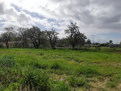 Maison neuve, 105 m²