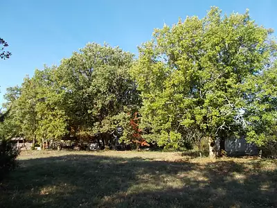 Terrain à bâtir, 1 650 m²