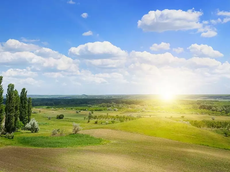 Terrain à bâtir, 562 m² - Mouilleron-le-Captif (85000)