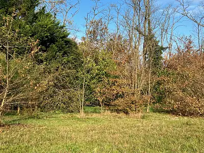 Maison neuve, 90 m²