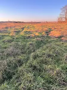 Maison neuve, 100 m²