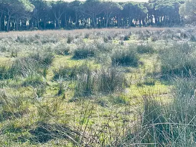 Terrain à bâtir, 765 m²