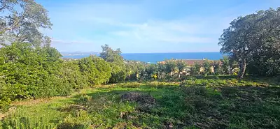 Terrain à bâtir, 1 826 m²