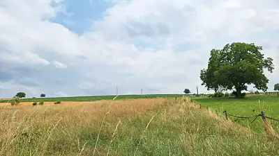 Terrain à bâtir, 662 m²