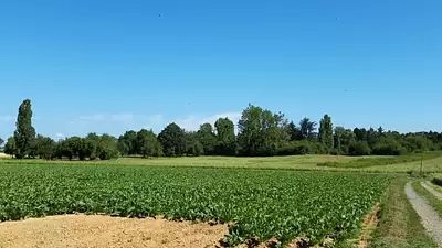 Terrain à bâtir, 465 m²