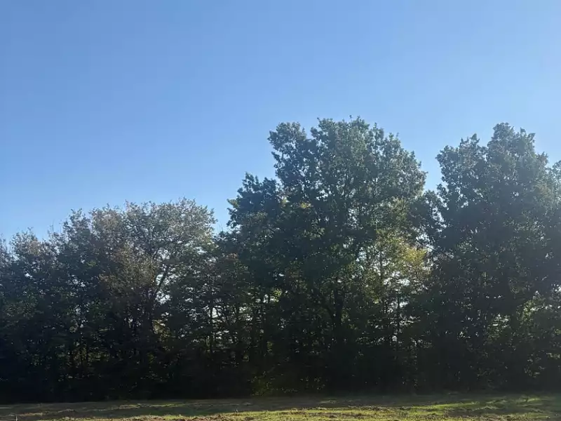 Terrain à bâtir, 600 m² - Cadarsac (33750)