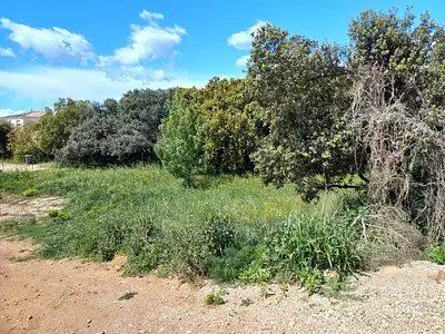 Terrain à bâtir, 800 m²