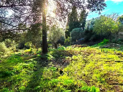 Maison neuve, 90 m²