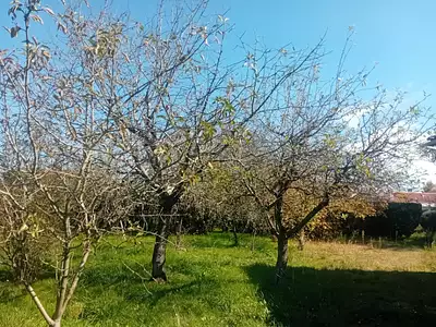 Maison neuve, 126 m²