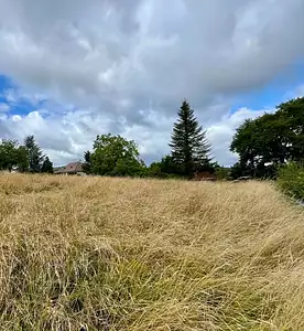 Terrain à bâtir, 1 000 m²