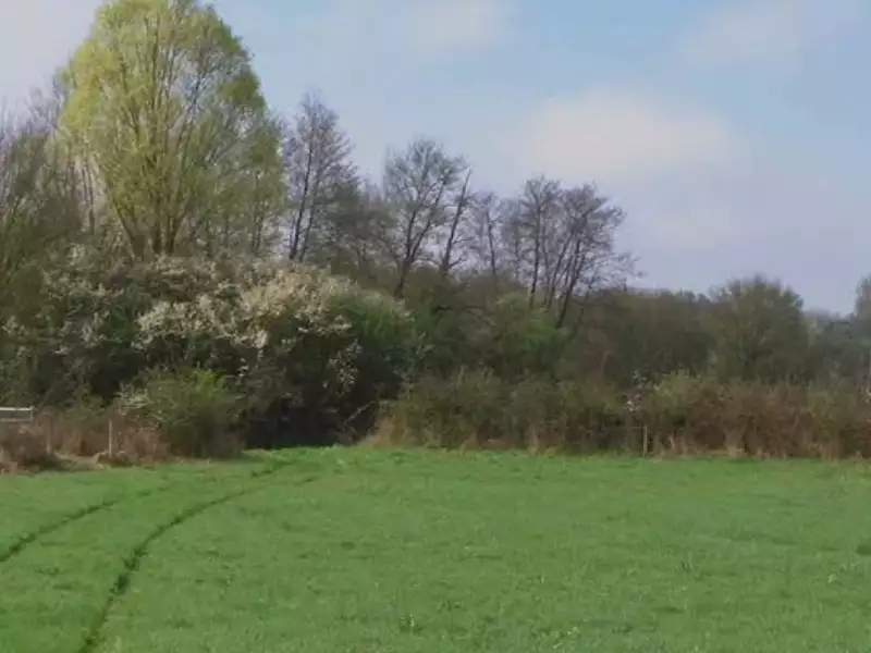 Terrain à bâtir, 289 m² - Lagny-sur-Marne (77400)