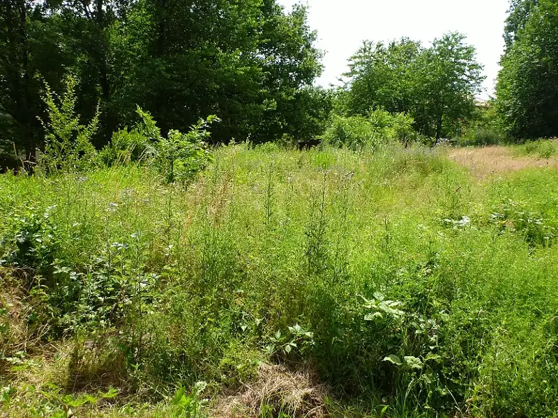 Terrain à bâtir, 410 m² - Margaux-Cantenac (33460)