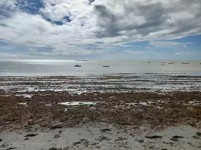 Terrain à bâtir, 2 000 m²