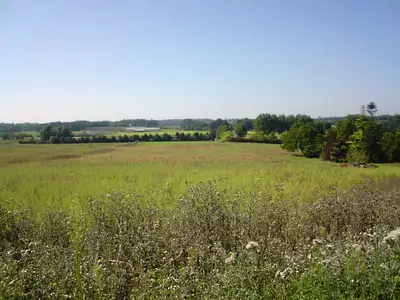 Maison neuve, 65 m²